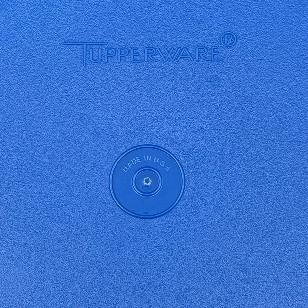 Tupperware vintage divided